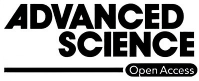 Lu et al